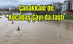 Çanakkale'de Kocabaş Çayı da taştı (Video)