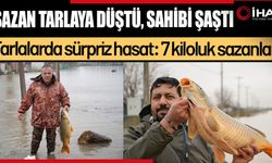 7 kiloluk sazanlar tarlalara akın etti (Video)