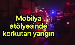 Mobilya atölyesinde korkutan yangın