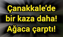 Çanakkale'de bir kaza daha! Ağaca çarptı!