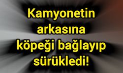 Kamyonetin arkasına köpeği bağlayıp sürükledi!