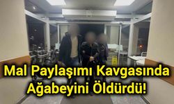 Mal Paylaşımı Kavgasında Ağabeyini Öldürdü!