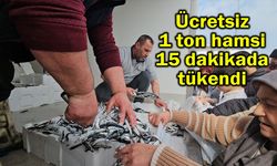 Ücretsiz 1 ton hamsi 15 dakikada tükendi (Video)