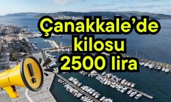 Çanakkale’de kilosu 2500 lira!