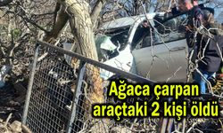 Ağaca çarpan araçtaki 2 kişi öldü