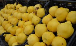 Üretim düştü! Kilosu 300 liraya dayandı