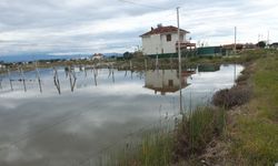 Sağanak Baskını! Yazlık Evler Su Altında Kaldı (Video)