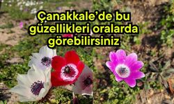Çanakkale’de bu güzellikleri oralarda görebilirsiniz