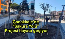 Çanakkale’de “Sakura Yolu” Projesi hayata geçiyor