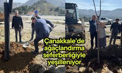Çanakkale’de ağaçlandırma seferberliğiyle yeşilleniyor