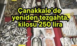 Çanakkale’de yeniden tezgahta, kilosu 250 lira