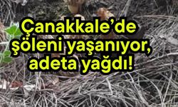 Çanakkale’de şöleni yaşanıyor, adeta yağdı!