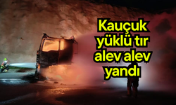 Kauçuk yüklü tır alev alev yandı (Video)