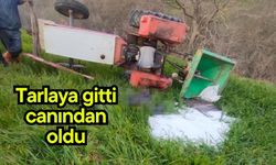 Tarlaya gitti, canından oldu