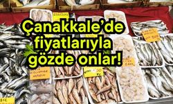 Çanakkale’de fiyatlarıyla gözde onlar!