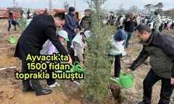 Ayvacık’ta 1500 fidan toprakla buluştu