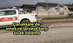 Çanakkale’de sinek ve larvaya karşı sıcak sisleme