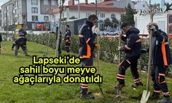 Lapseki’de sahil boyu meyve ağaçlarıyla donatıldı