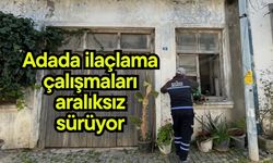 Adada ilaçlama çalışmaları aralıksız sürüyor