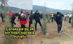 Çanakkale’de 24 bin fidan toprakla buluştu