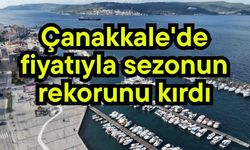 Çanakkale'de fiyatıyla sezonun rekorunu kırdı