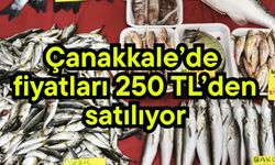 Çanakkale’de fiyatları 250 TL’den satılıyor