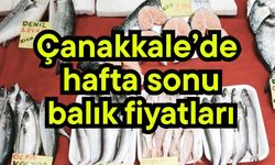 Çanakkale’de hafta sonu balık fiyatları