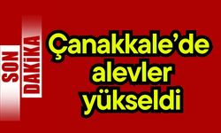 Çanakkale’de alevler yükseldi