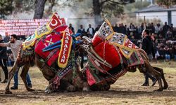 "Büyük Antrenman Güreşi" Pazar Günü!