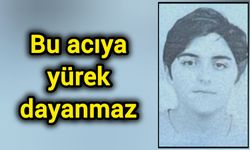 Bu acıya yürek dayanmaz