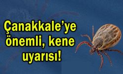 Çanakkale’ye önemli kene uyarısı!