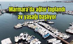 Marmara’da ağlar toplandı, av yasağı başlıyor (Video)