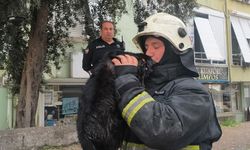 İtfaiye eri yangında dumandan etkilenen kediyi kalp masajı ile hayata döndürdü
