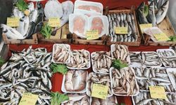 TÜİK Açıkladı: Mart Ayında En Çok Hangi Ürünler Zamlandı?