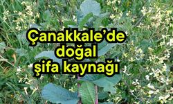 Çanakkale’de doğal şifa kaynağı