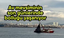 Av mevsiminin son günlerinde bolluğu yaşanıyor (Video)