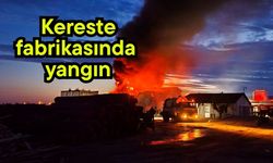 Kereste fabrikasında yangın