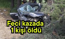 Feci kazada 1 kişi öldü
