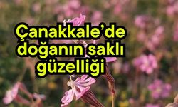 Çanakkale’de doğanın saklı güzelliği
