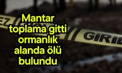 Mantar toplama gitti, ormanlık alanda ölü bulundu