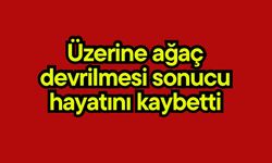 Üzerine ağaç devrilmesi sonucu hayatını kaybetti