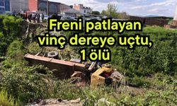 Freni patlayan vinç dereye uçtu, 1 ölü