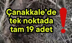 Çanakkale’de tek noktada tam 19 adet!