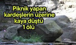 Piknik yapan kardeşlerin üzerine kaya düştü, 1 ölü