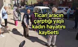 Ticari aracın çarptığı yaşlı kadın hayatını kaybetti