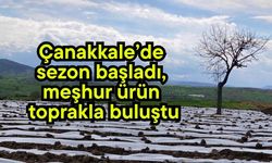 Çanakkale’de sezon başladı, meşhur ürün toprakla buluştu
