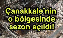 Çanakkale’nin o bölgesinde sezon açıldı!