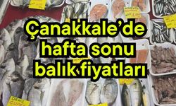 Çanakkale’de hafta sonu balık fiyatları