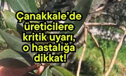 Çanakkale’de üreticilere kritik uyarı, o hastalığa dikkat!
