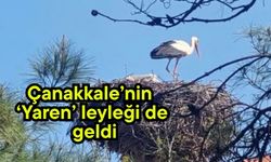 Çanakkale’nin ‘Yaren’ leyleği de geldi